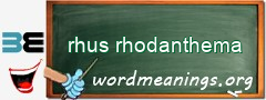 WordMeaning blackboard for rhus rhodanthema